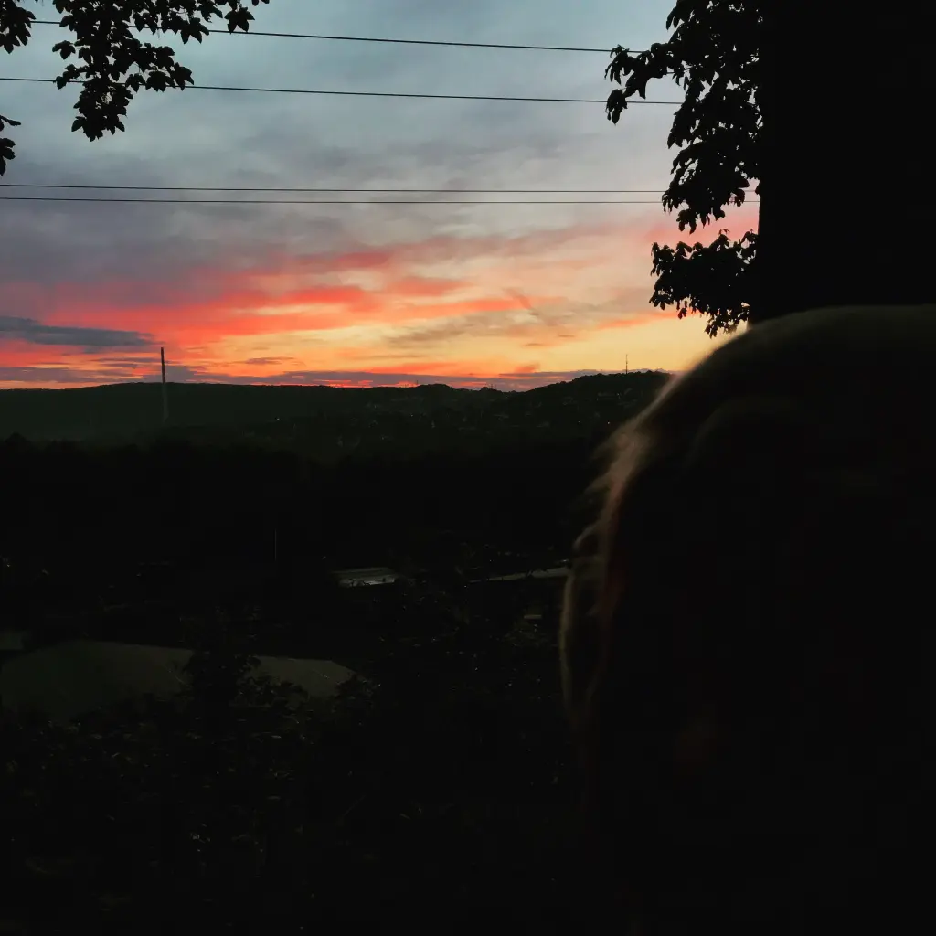 Image from Nilson