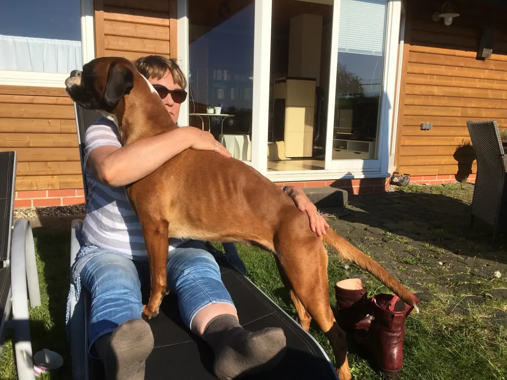 Image from Jette