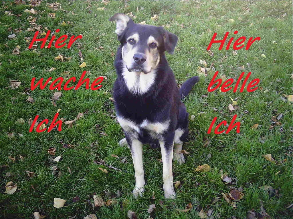 Image from Thyson