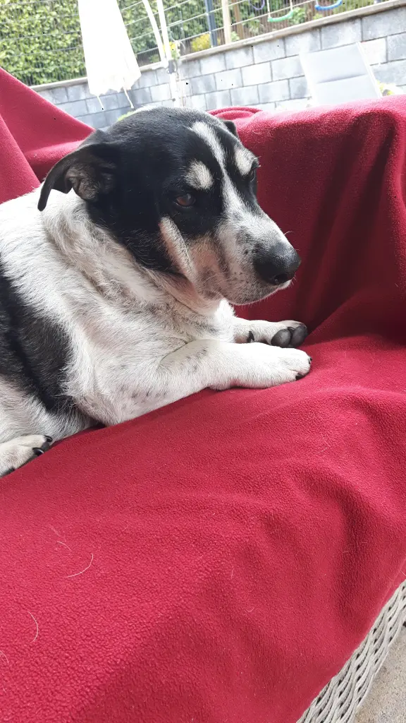 Condolence image of Julia