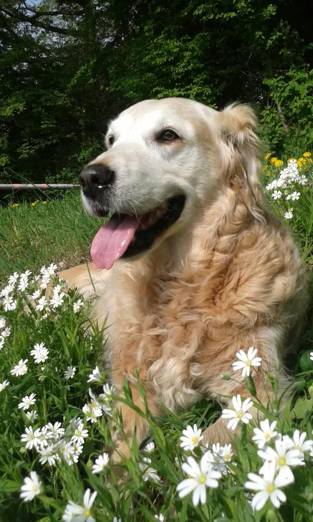 Condolence image of Unbekannt