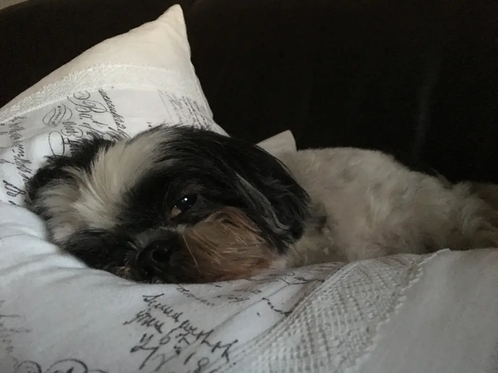 Condolence image of Nicole