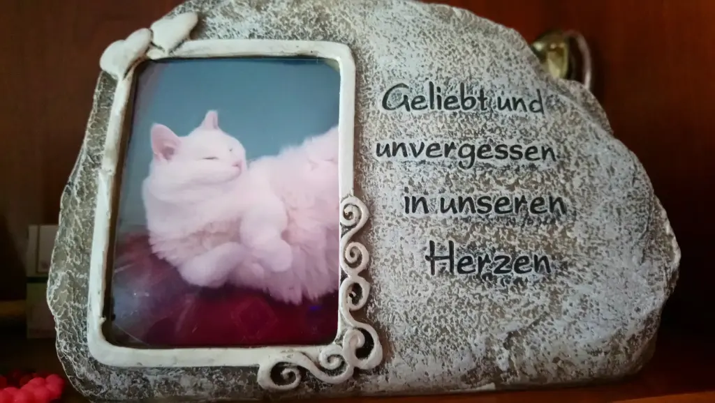 Image from Zwiebel