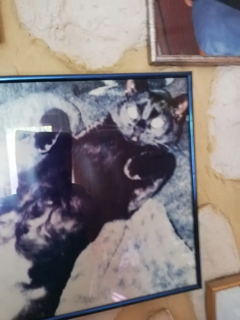 Condolence image of von Mama