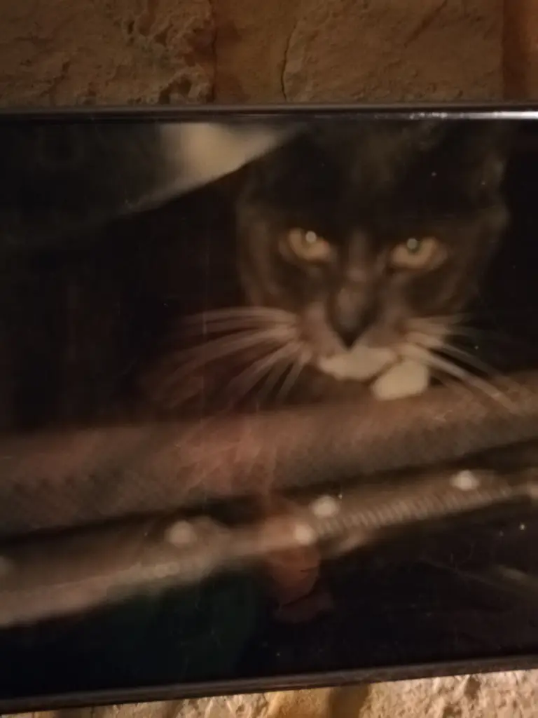 Condolence image of vom Mama