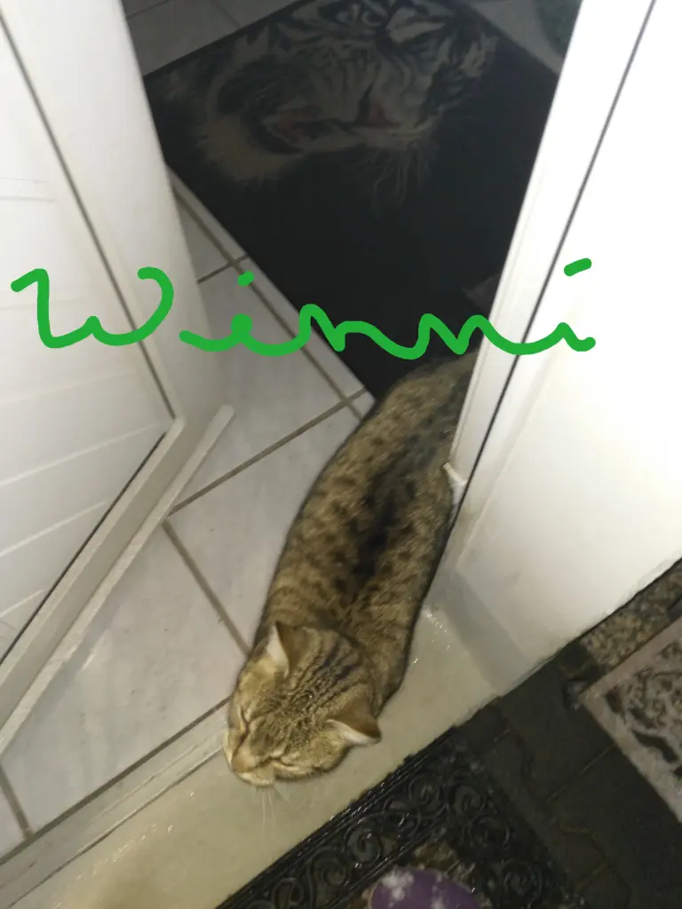 Condolence image of von Mama