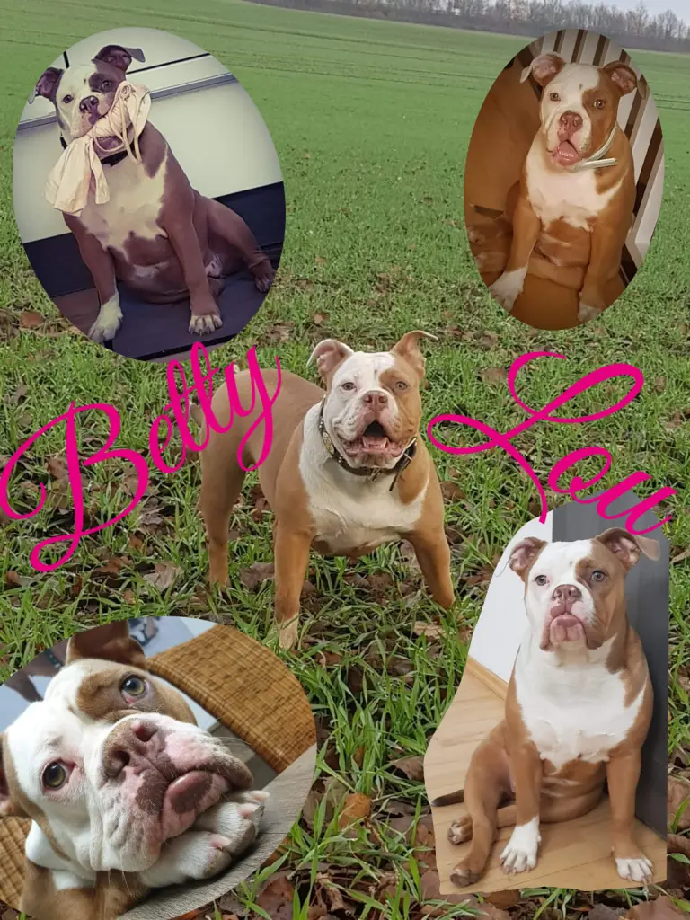 Andachtsbild von Vanessa 