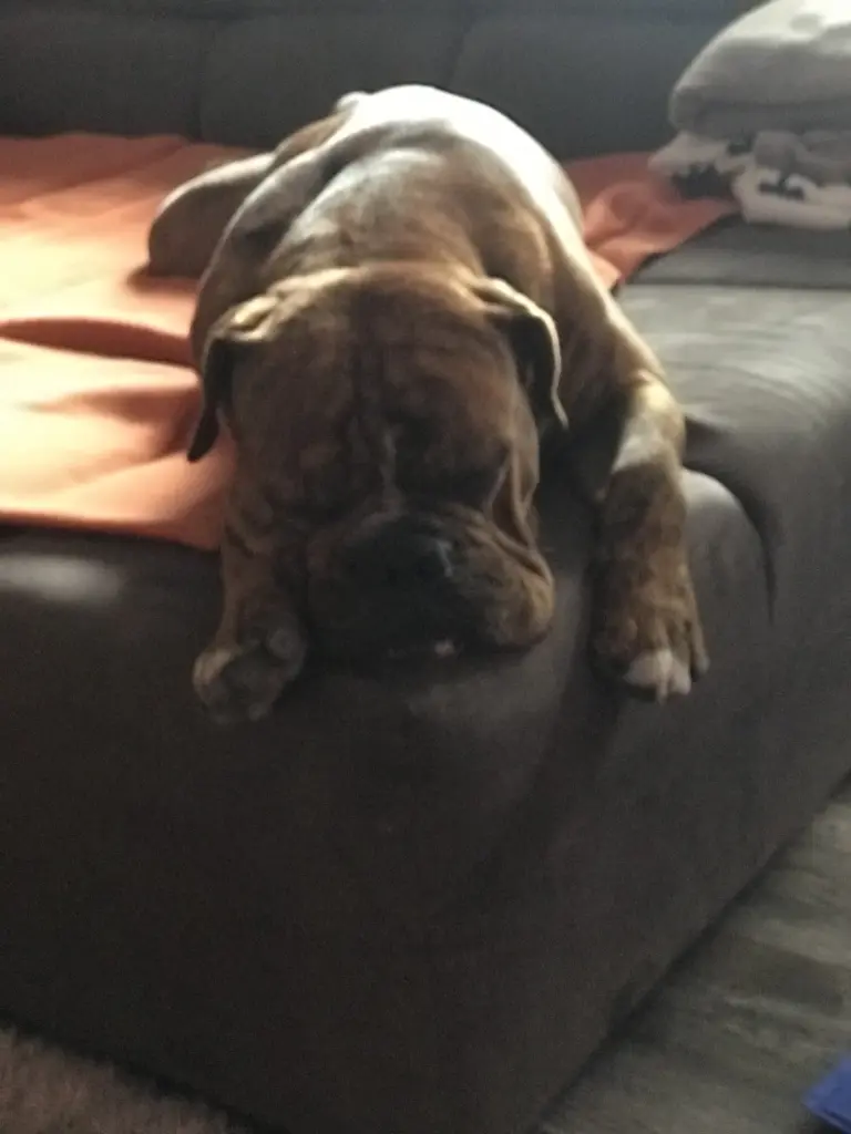 Andachtsbild von Tanja