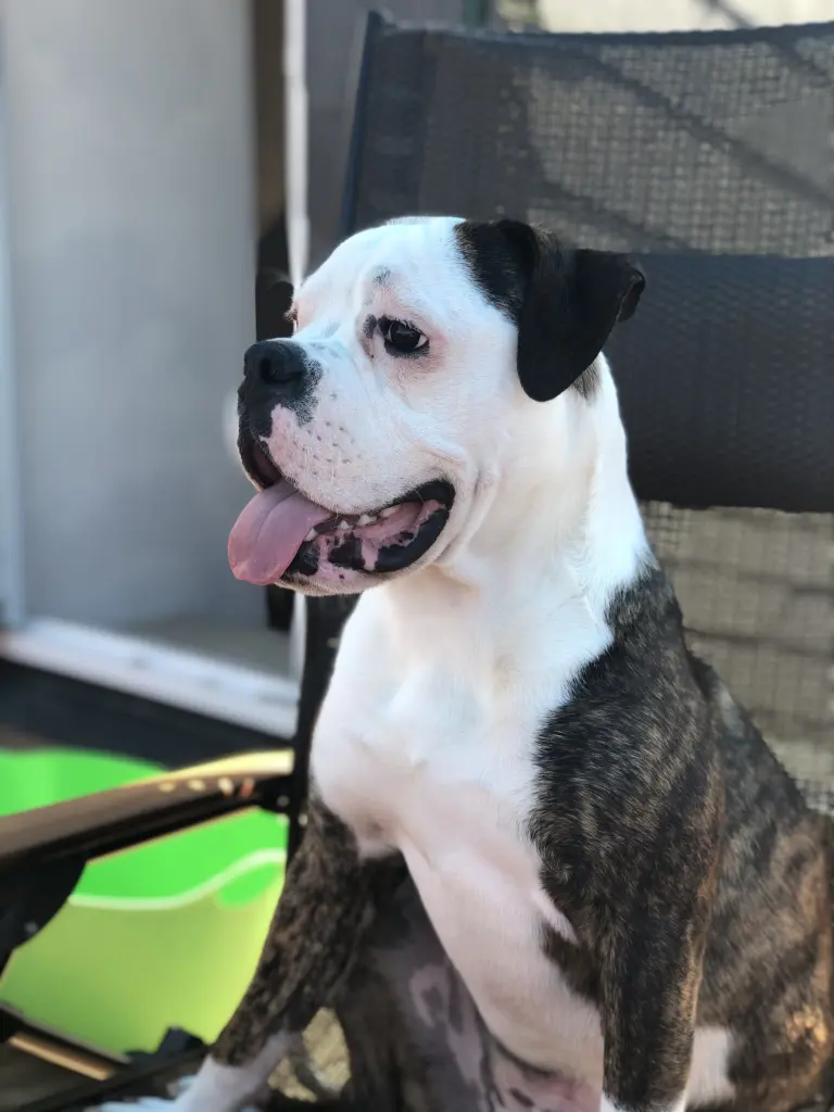 Andachtsbild von Jessica Reis