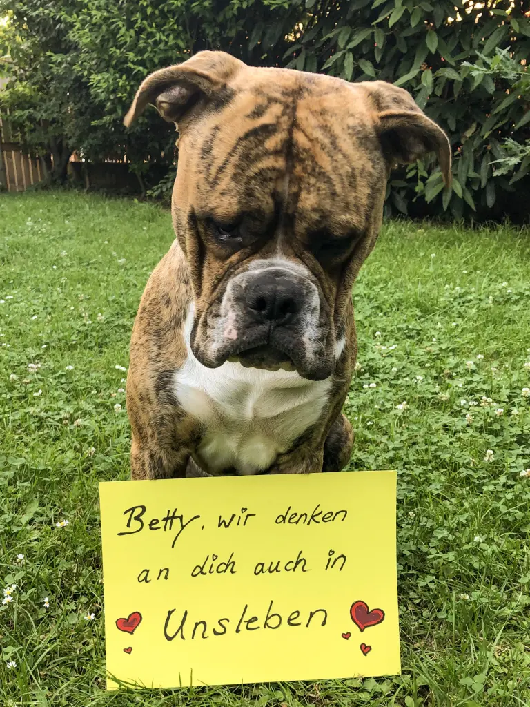 Andachtsbild von Sabine Heider