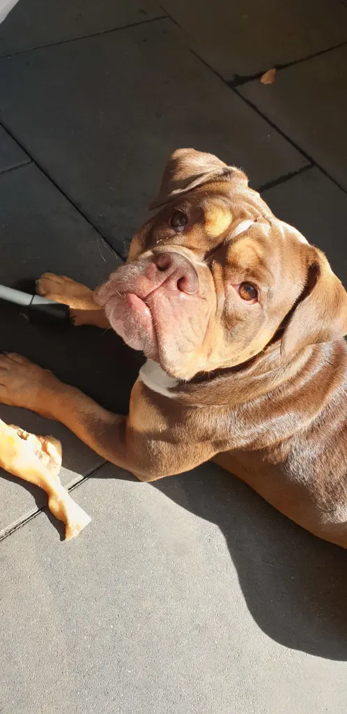 Andachtsbild von Biggi