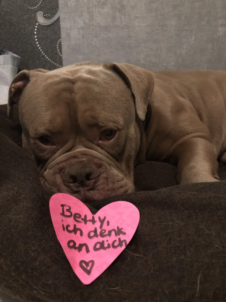 Andachtsbild von Paulina