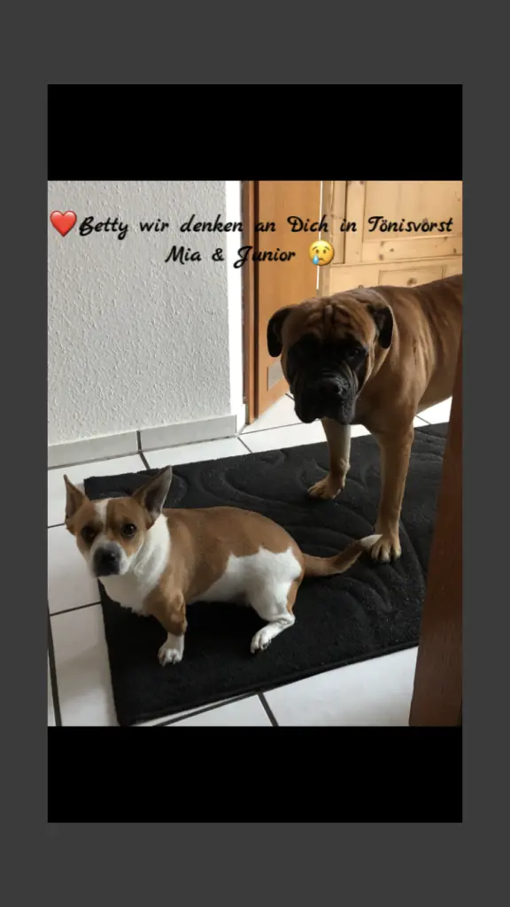 Andachtsbild von Iris Geuer