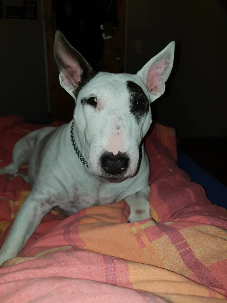 Andachtsbild von Sandra Scheller