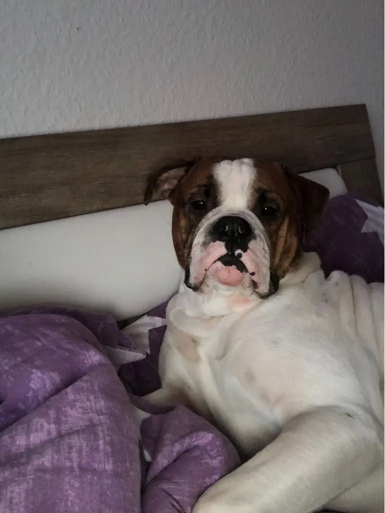 Andachtsbild von Daniela