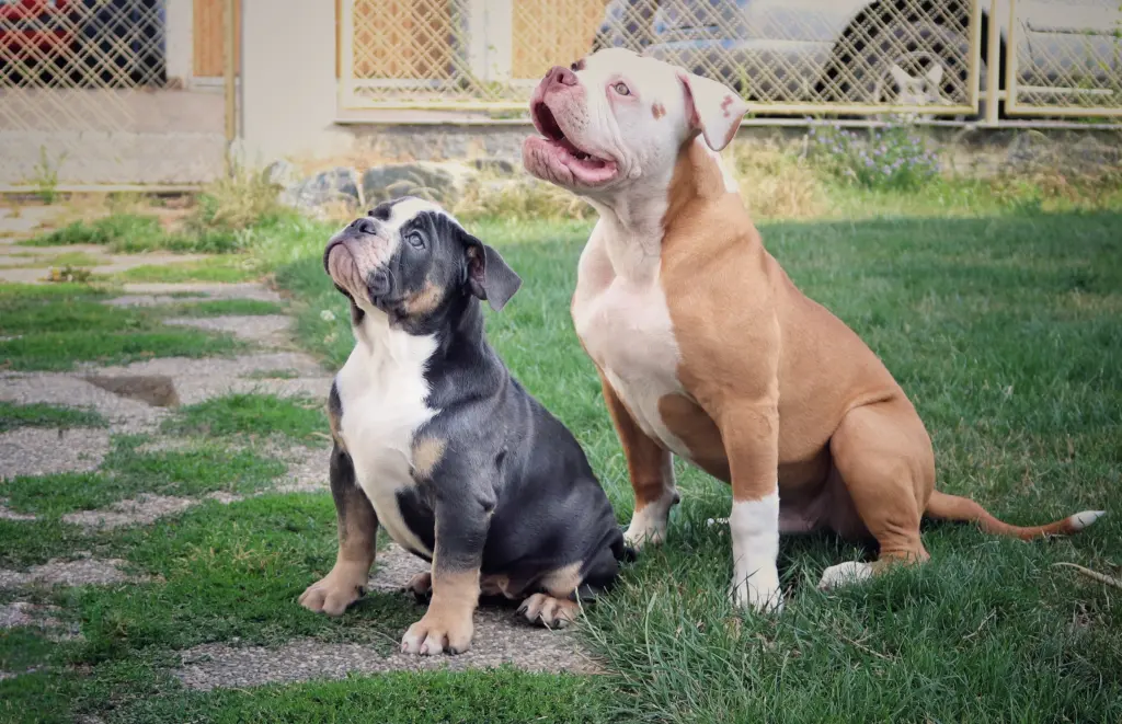 Andachtsbild von Diana Schwenk