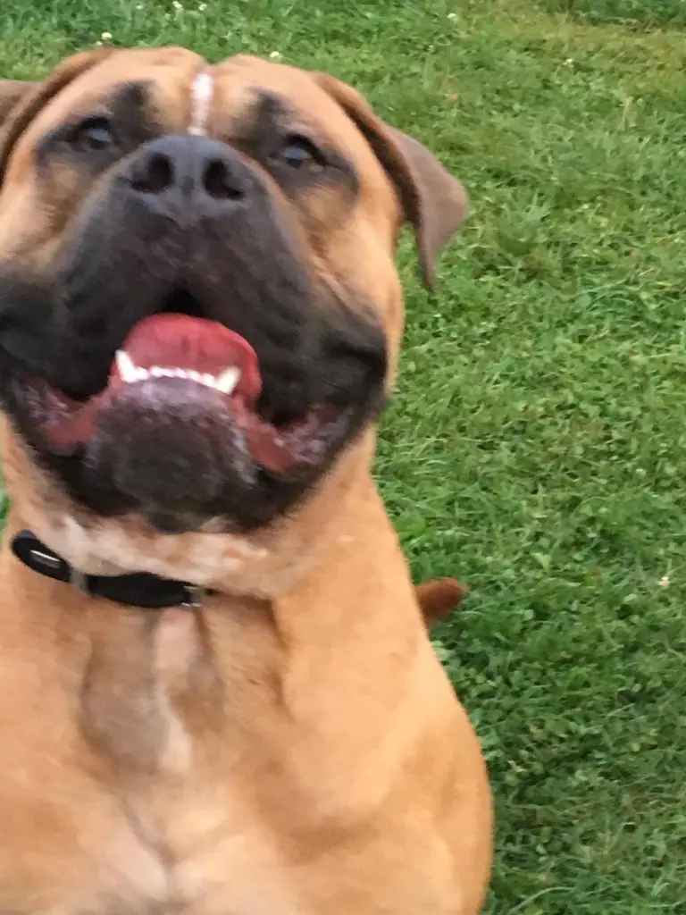 Andachtsbild von Sandra