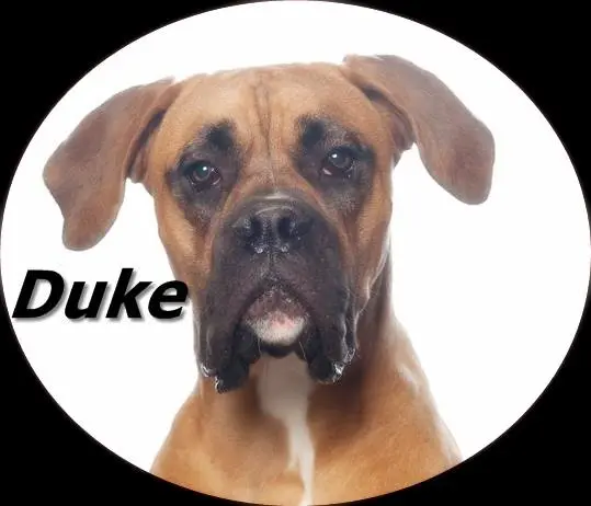 Andachtsbild von Sofia