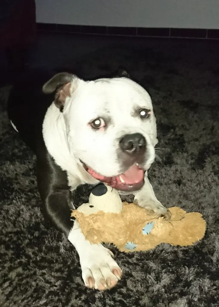 Andachtsbild von Sandra