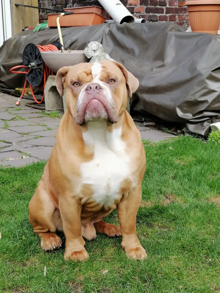 Andachtsbild von Stephanie  Guzy 