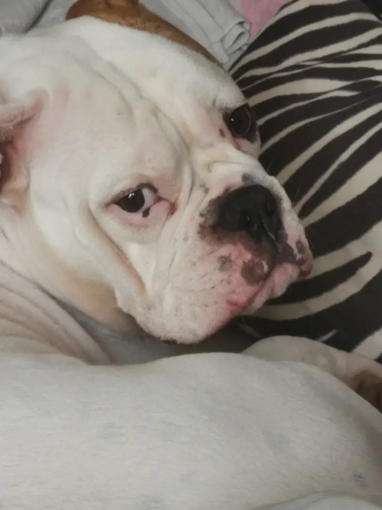 Andachtsbild von Peggy 