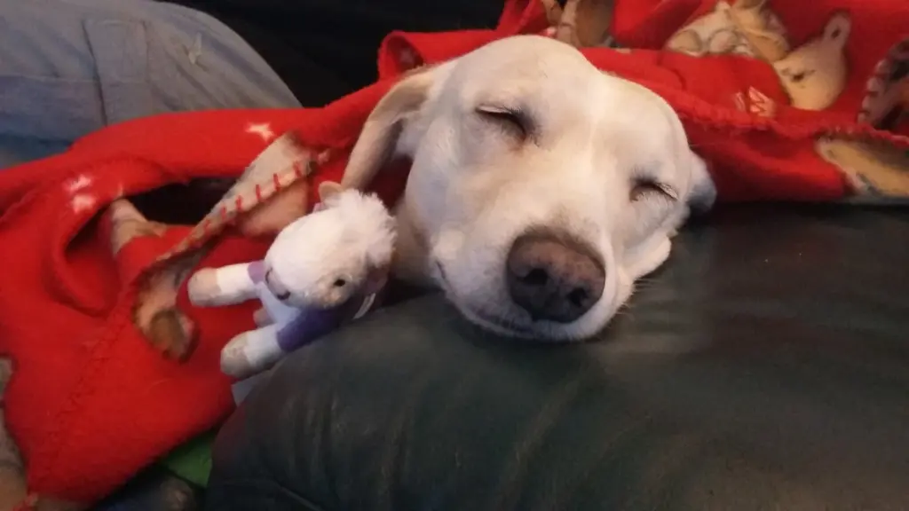 Andachtsbild von Für Betty Lou