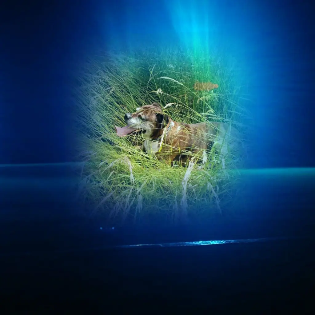 Andachtsbild von Ela