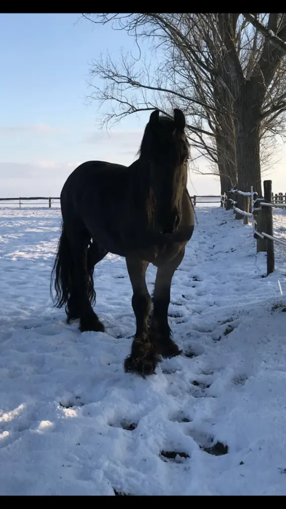 Andachtsbild von Bianca  Müller 