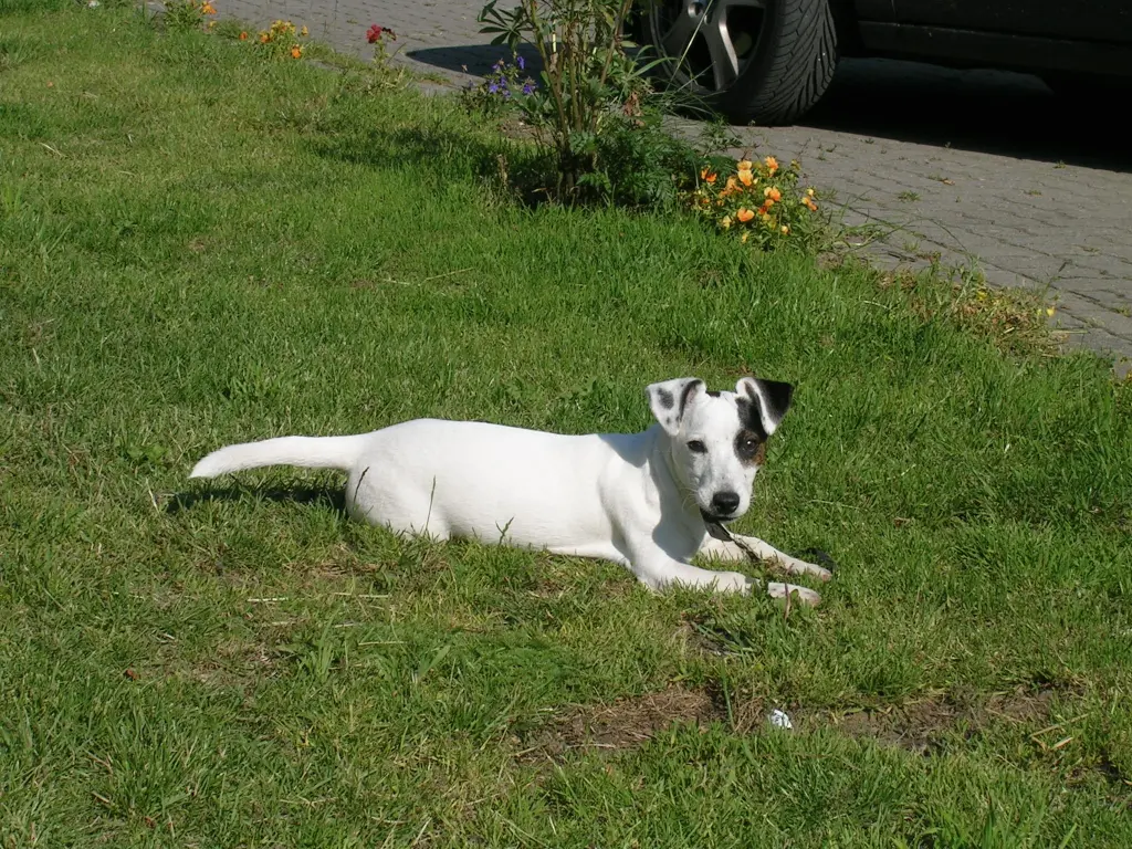Image from Mylo