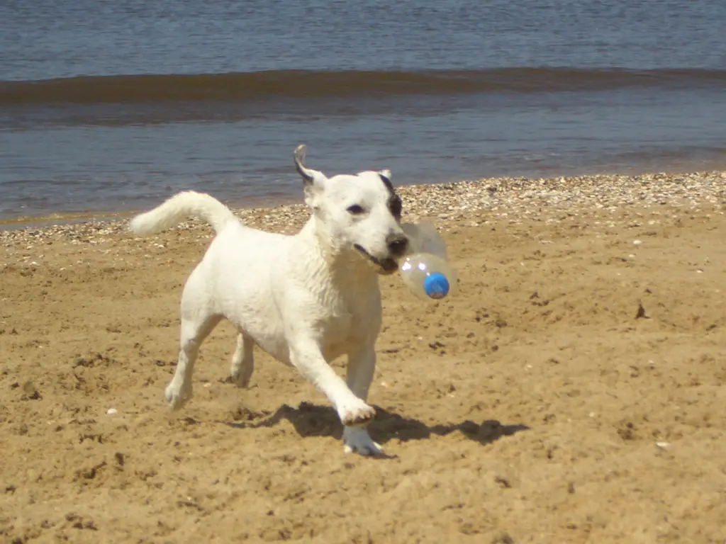Image from Mylo