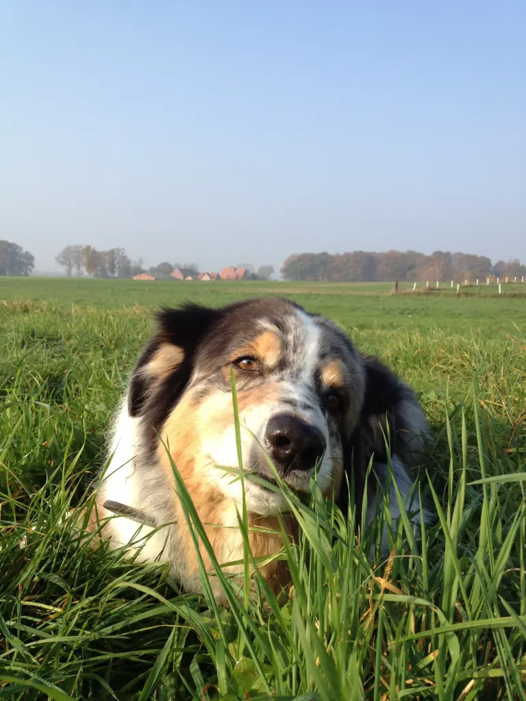 Andachtsbild von Kirstin