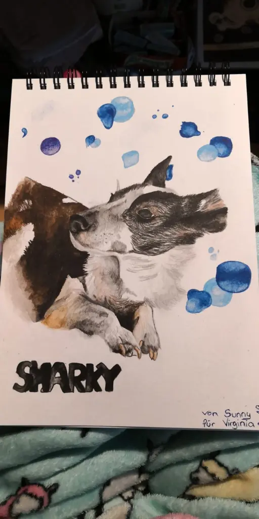 Image from Sharky