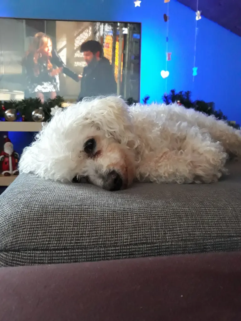 Condolence image of Matthias