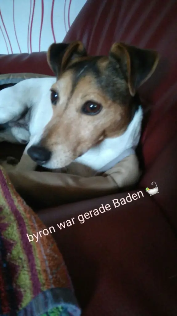 Andachtsbild von Yvonne und Byron im Herzen 
