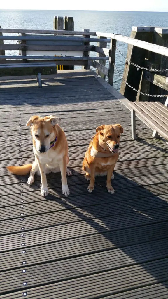 Andachtsbild von Ulrieke + Bailey