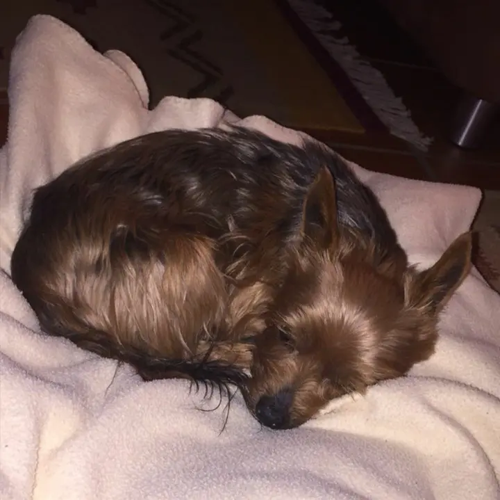 Image from Felix