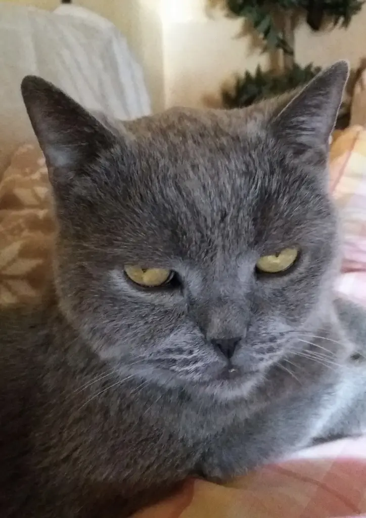 Andachtsbild von Sabine mit Kaspar tief im Herzen✟ 24.05.2019
