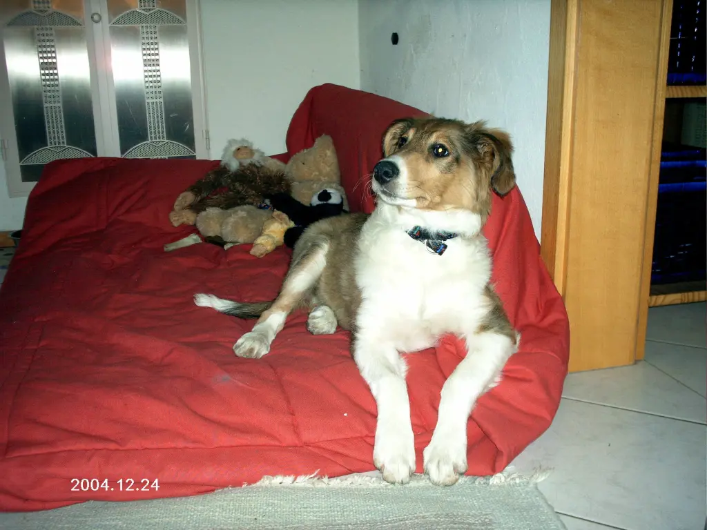 Image from Benny