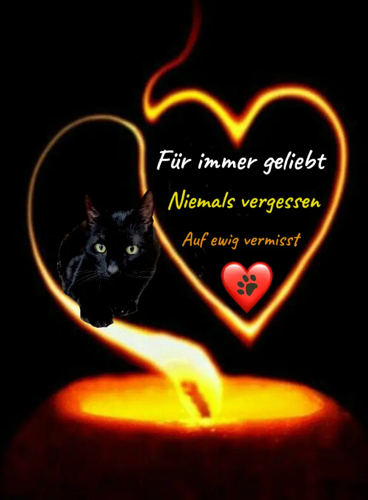 Andachtsbild von Unbekannt
