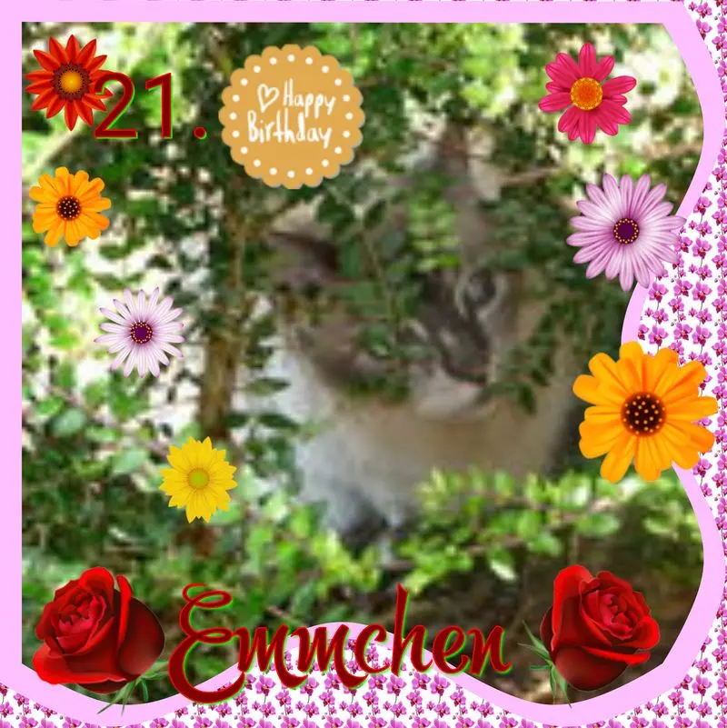 Condolence image of ❤Eike und Edeltraud mit unseren 7 Sternchen tief im Herzen ❤❤❤❤❤❤❤