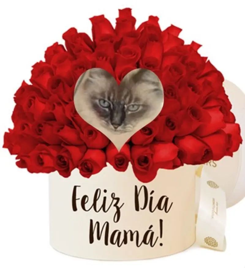 Condolence image of ❤️Mama❤️