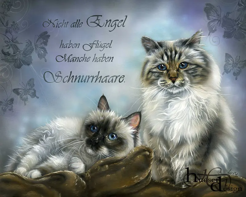 Condolence image of Tanja mit Timmy im Herzen