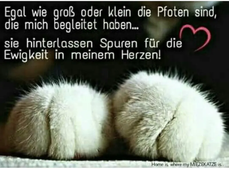 Condolence image of Unbekannt