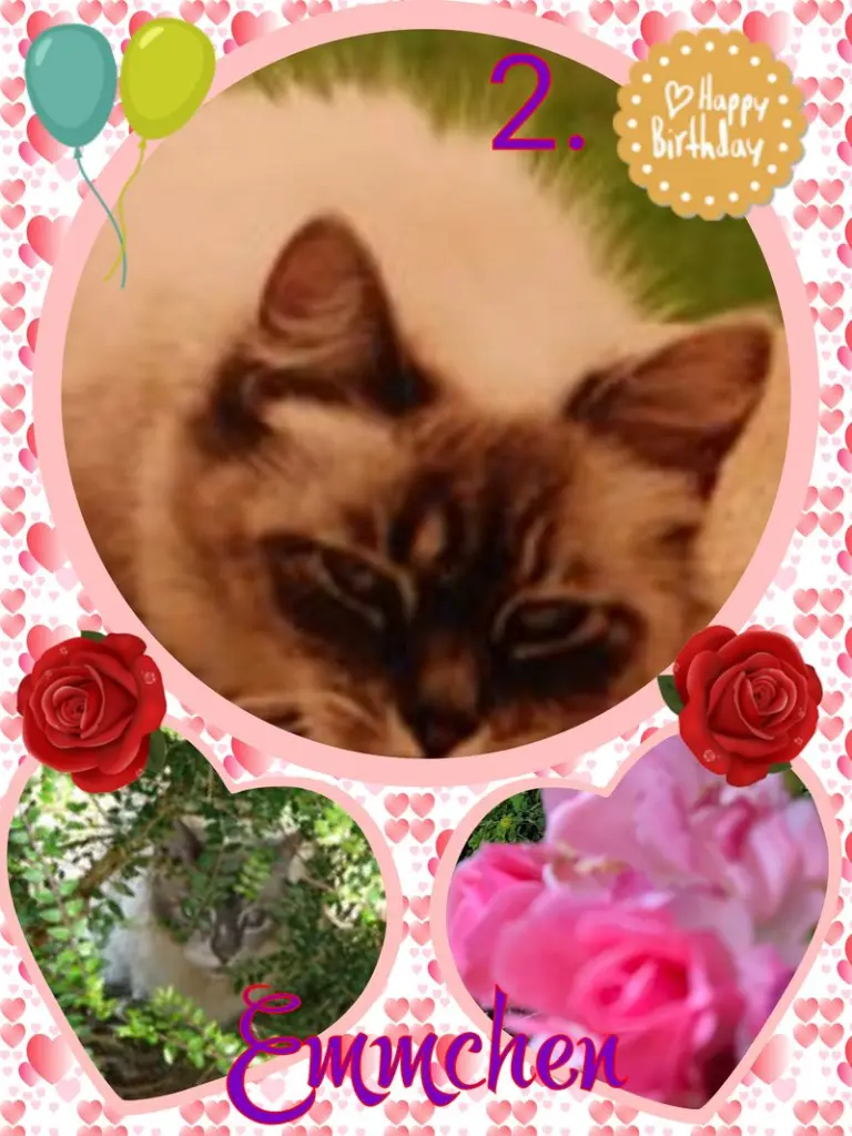 Condolence image of ❤Eike und Edeltraud mit unseren sieben Sternchen tief im Herzen ❤