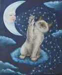 Condolence image of Tanja mit Timmy im Herzen
