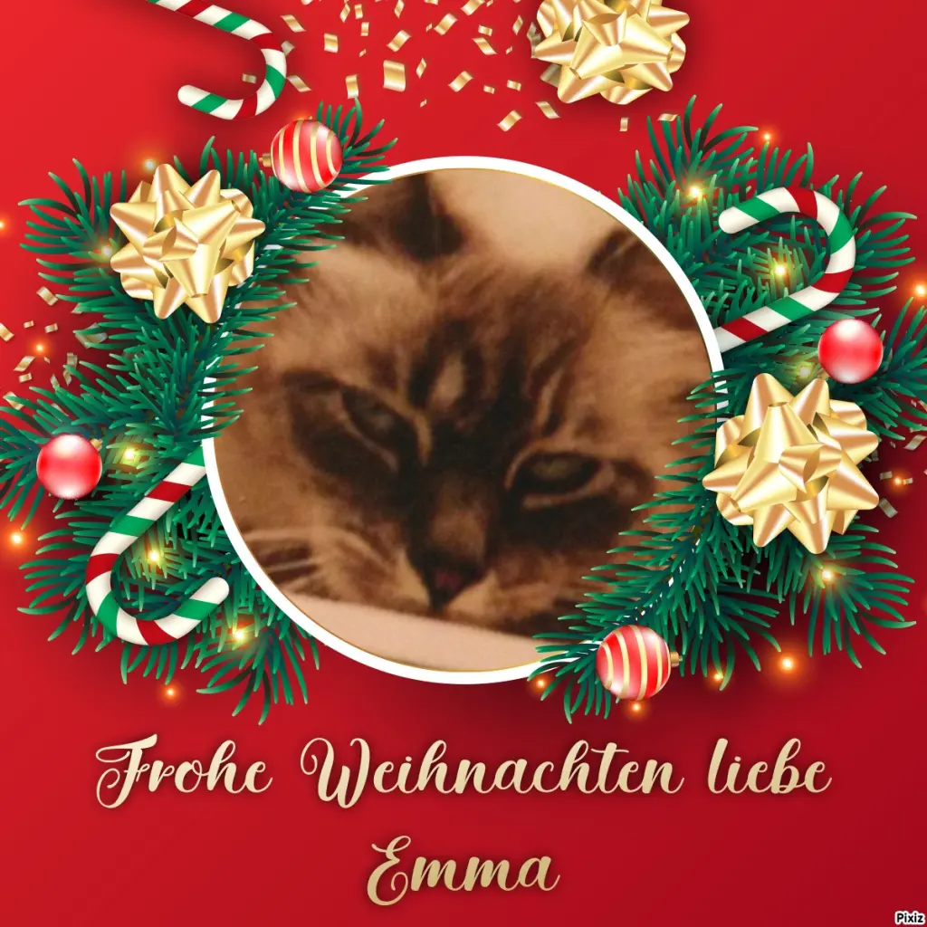 Condolence image of Tanja mit Timmy im Herzen 