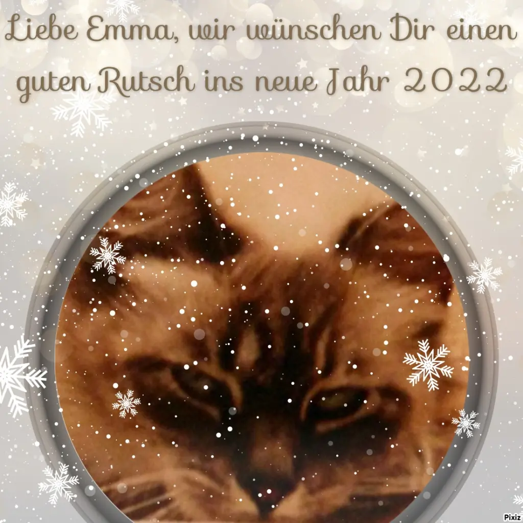 Condolence image of Tanja mit Timmy im Herzen 