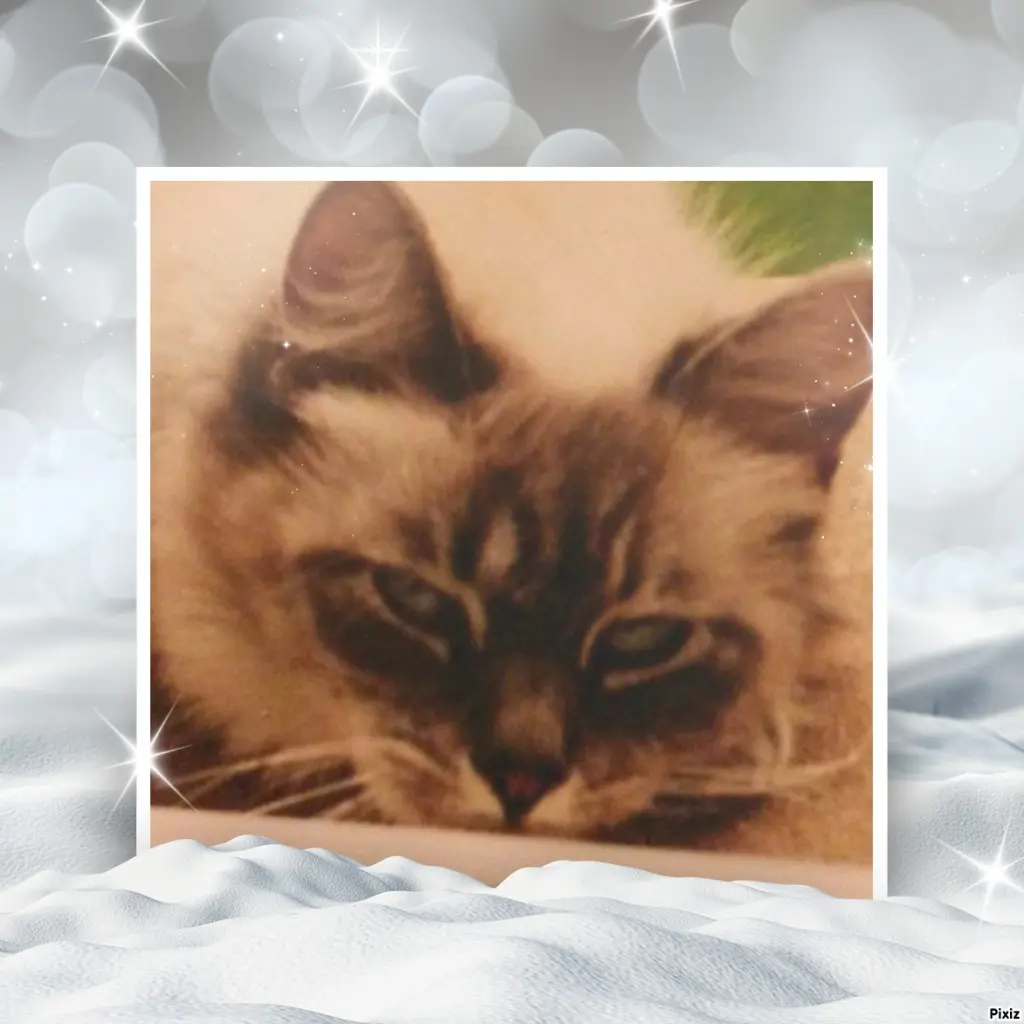 Condolence image of Tanja mit Timmy im Herzen 