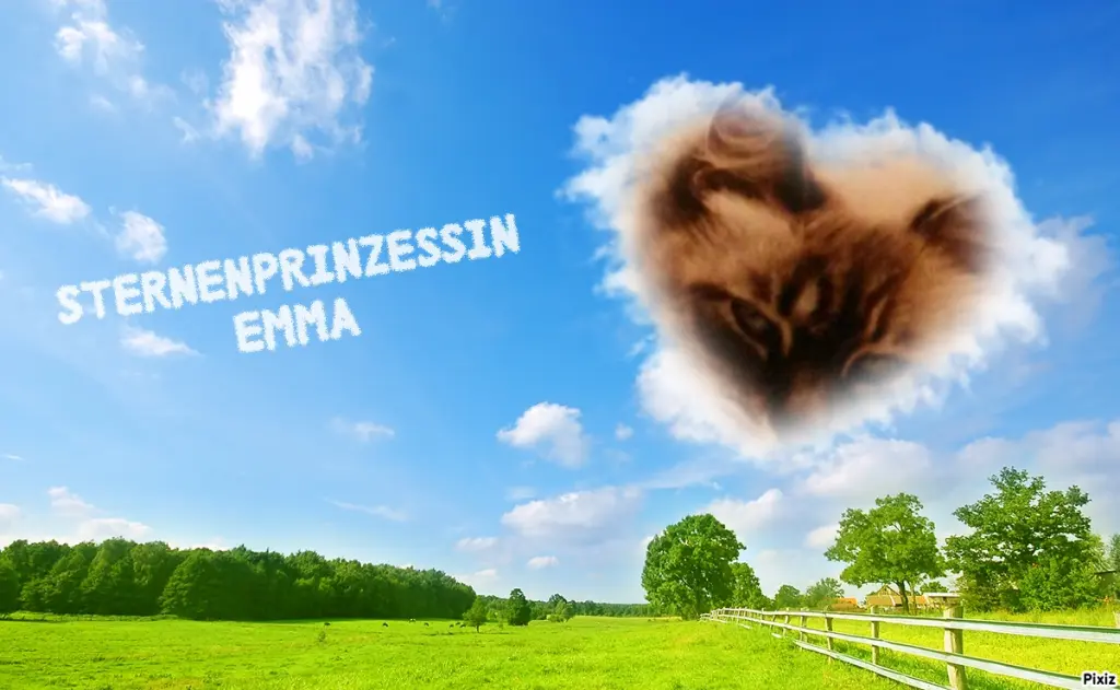 Condolence image of Tanja mit Timmy im Herzen