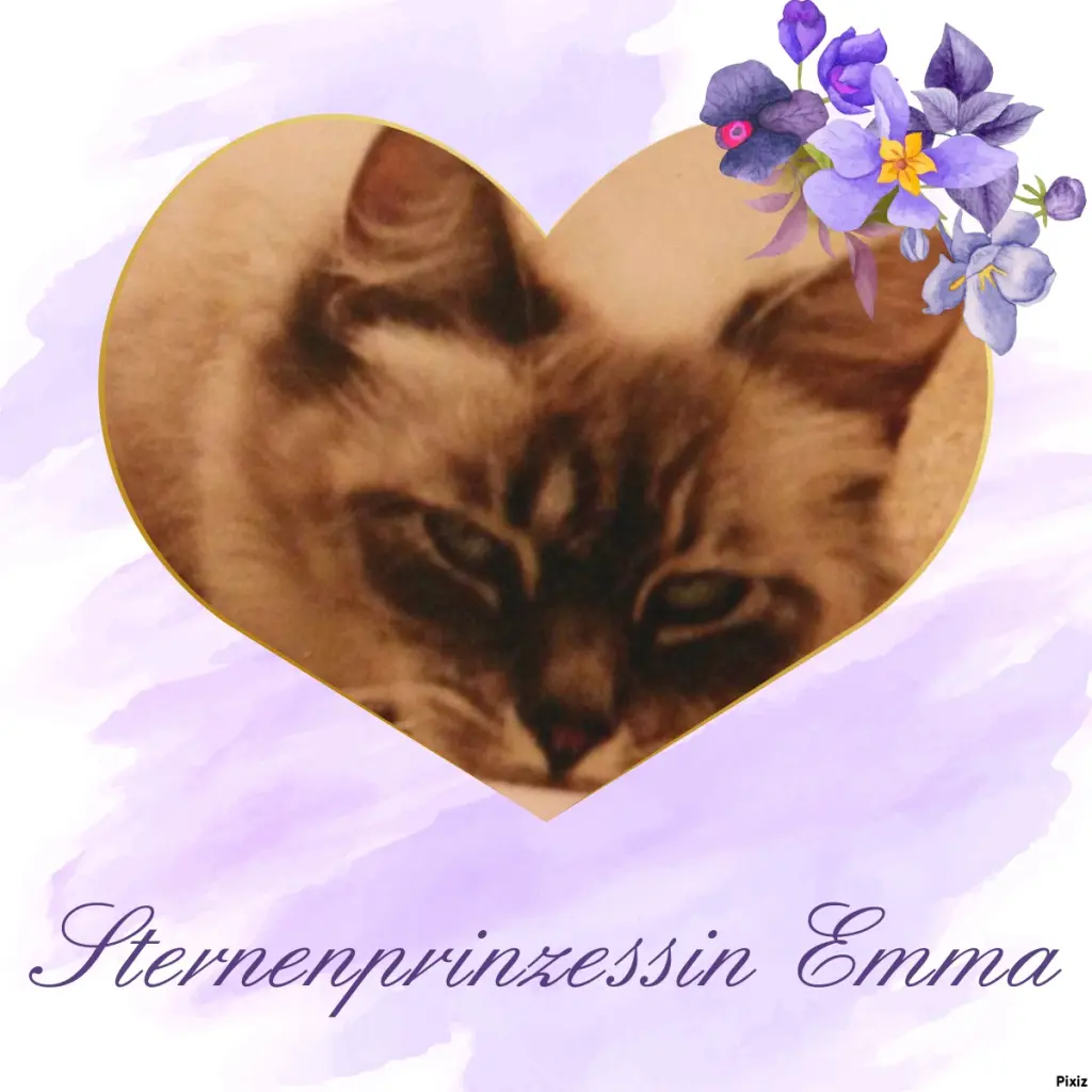 Condolence image of Tanja mit Timmy im Herzen 